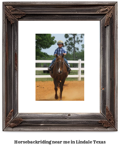 horseback riding near me in Lindale, Texas